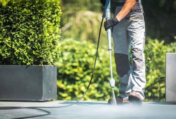 Best Solar Panel Cleaning  in Crete, IL
